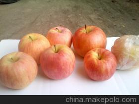 山东红富士苹果 源头直供，品质之选