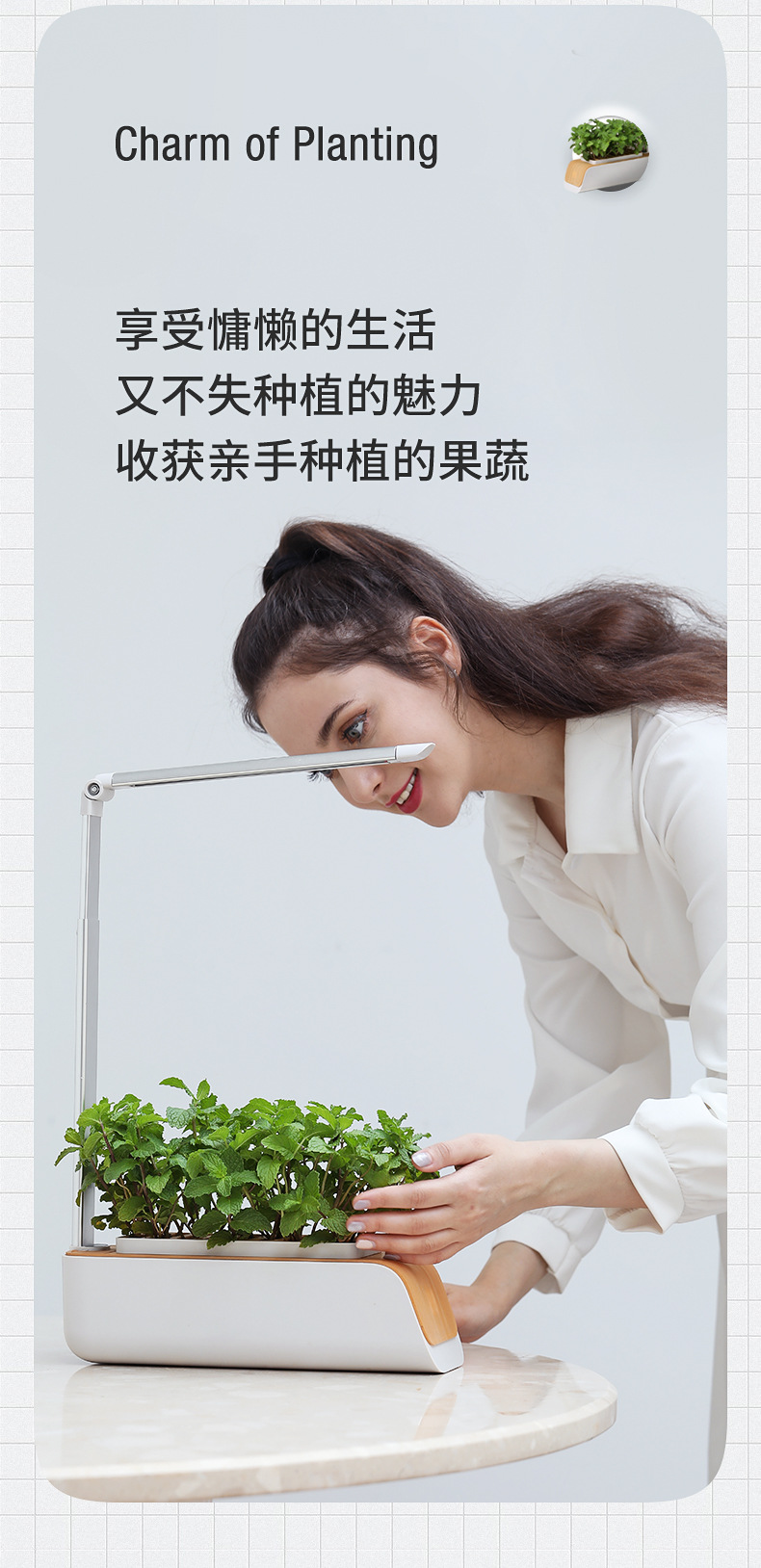 绿色生活的革新 智能水培花盆让客厅变成家庭菜园